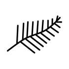 pages-icon-3.png